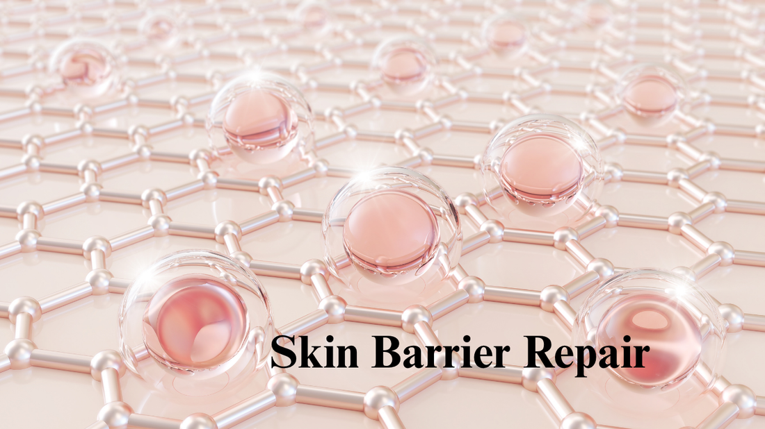 Skin Barrier Repair: The Foundation of Healthy Skin