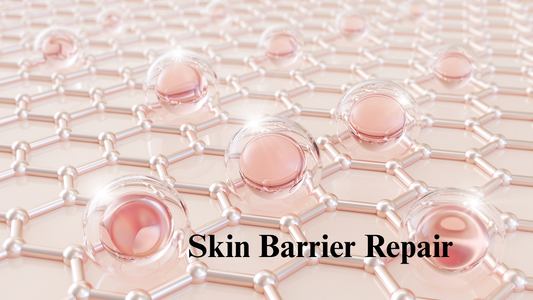 Skin Barrier Repair: The Foundation of Healthy Skin