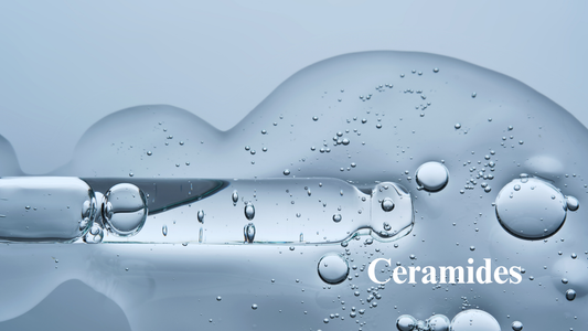 Ceramides: The Secret to a Stronger Skin Barrier and Long-Lasting Hydration